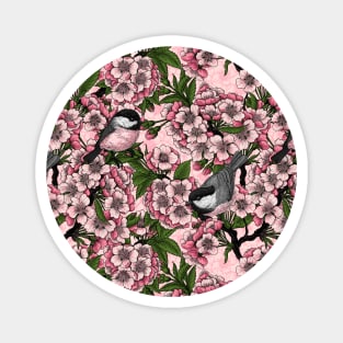 Cherry blossom and chickadees on pink Magnet